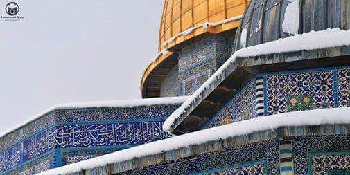GhazalSamr's profile banner image