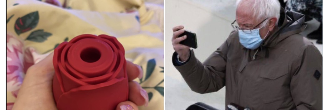 RoseVibrator's profile banner image