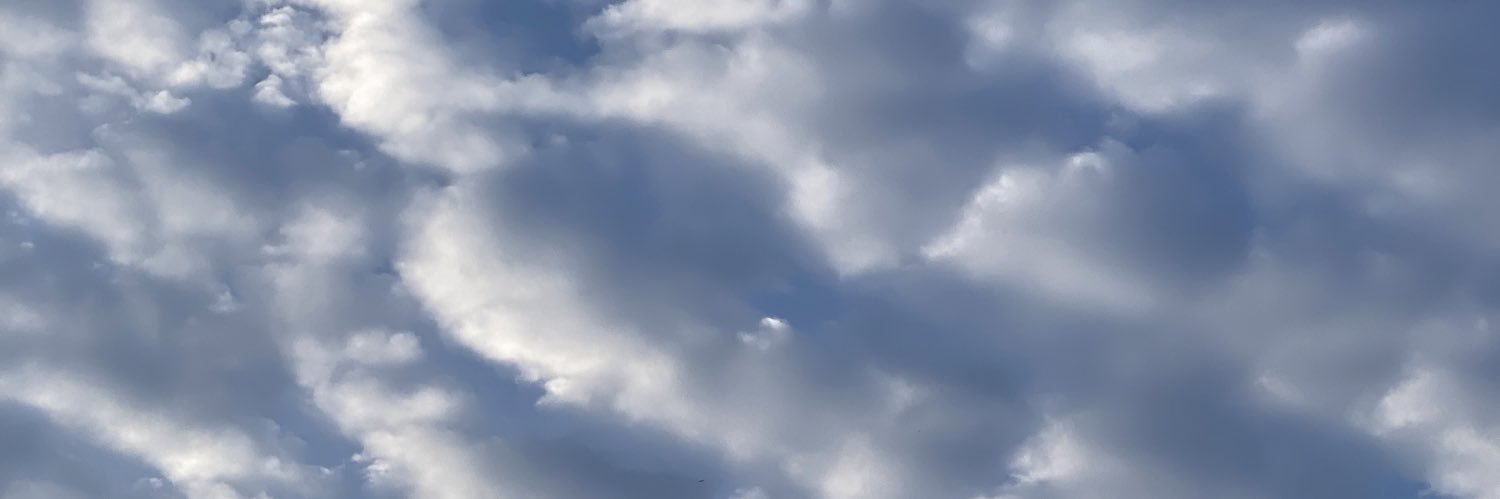 1TinkShorter's profile banner image