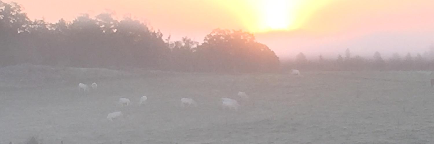 brecou9's profile banner image