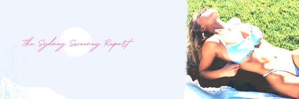 ssweeneyreport Profile Banner