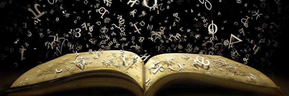 SusanneFischer_'s profile banner image