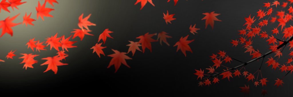 しるゔぃ🍁 Irish #1234 banner
