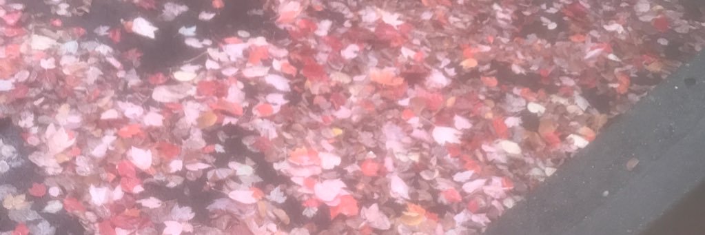 grahampad's profile banner image