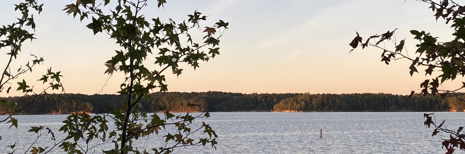 madphil12's profile banner image