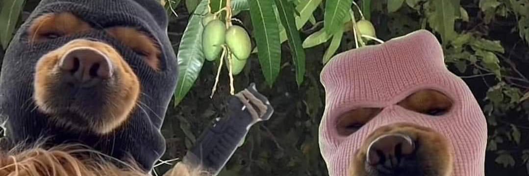 Yanhufff's profile banner image