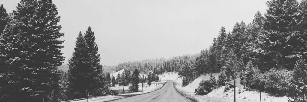 taylorlevy9's profile banner image