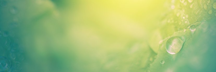 BWTLPodcast's profile banner image