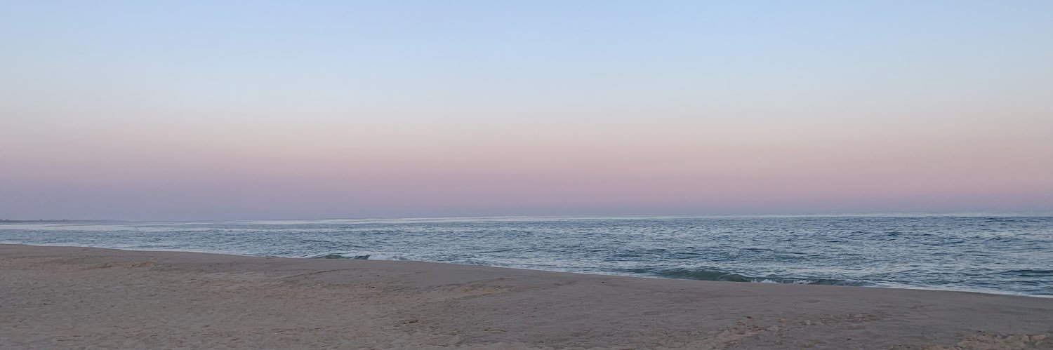 raywinee's profile banner image