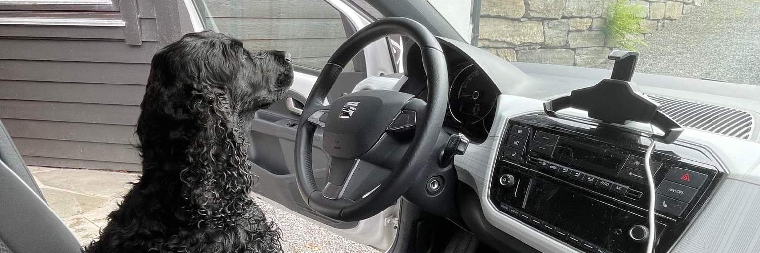 Jetman Official banner