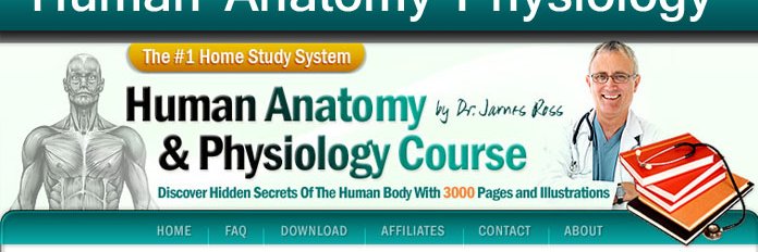 Human anatomy review banner