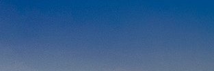 mona banner