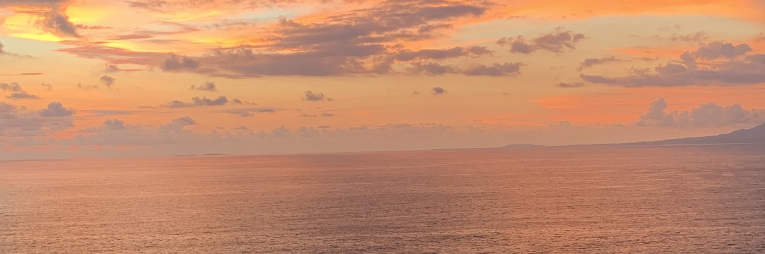 th_rubivida's profile banner image