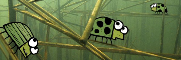 willemkolvoort Profile Banner
