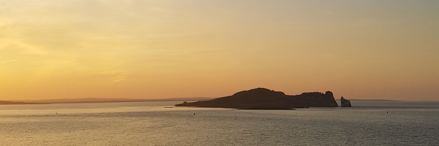 DricoCardozo's profile banner image