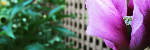 adam_rudner Profile Banner