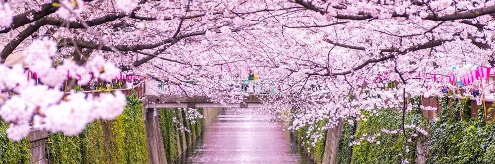 Embajada del Japón banner