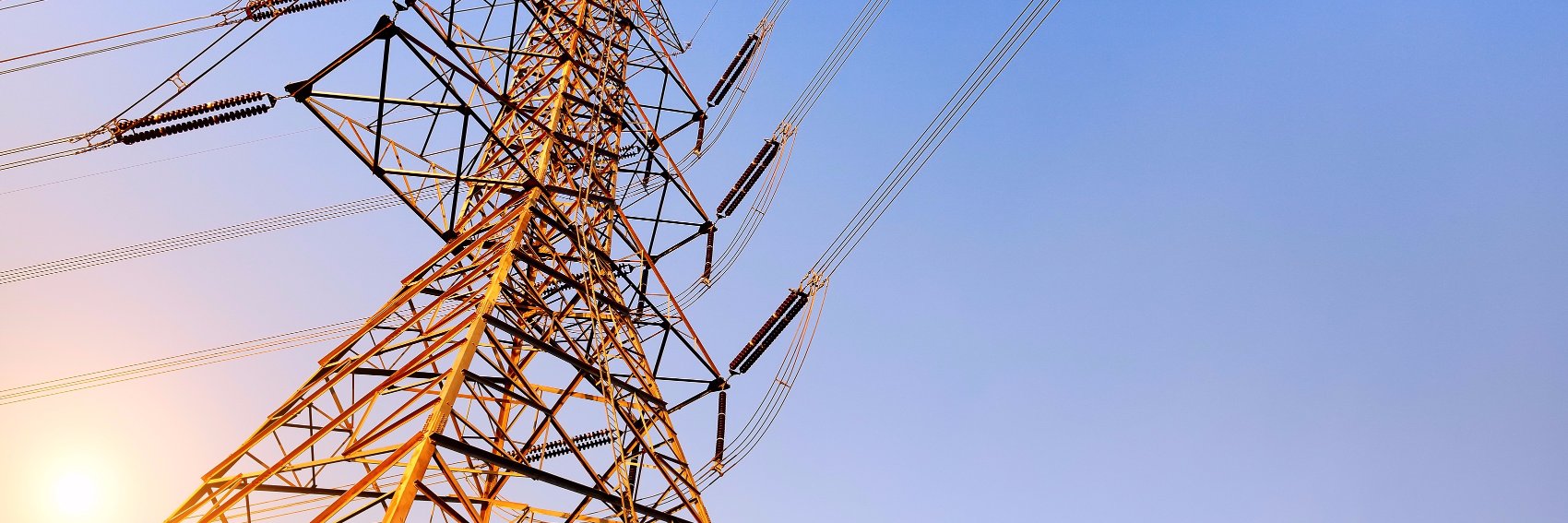 Protect Our Power banner