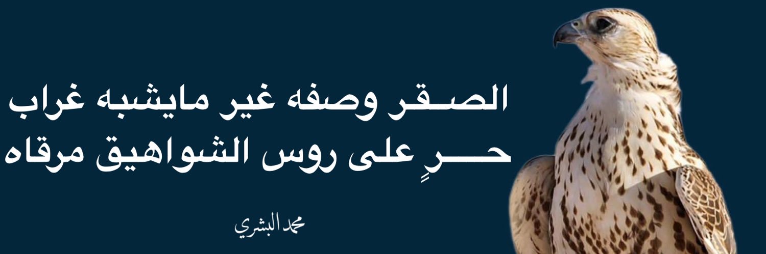 m4albashri's profile banner image