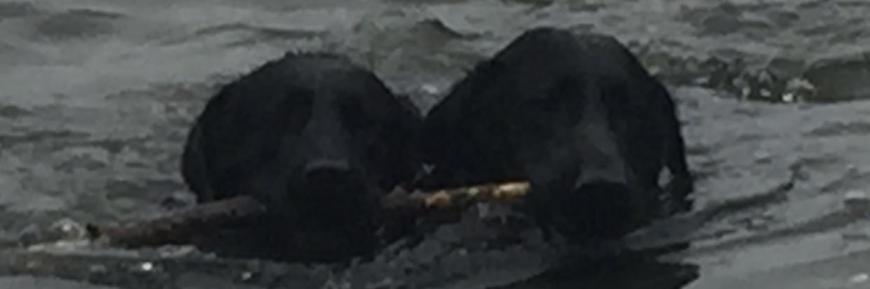 kcassidy63's profile banner image