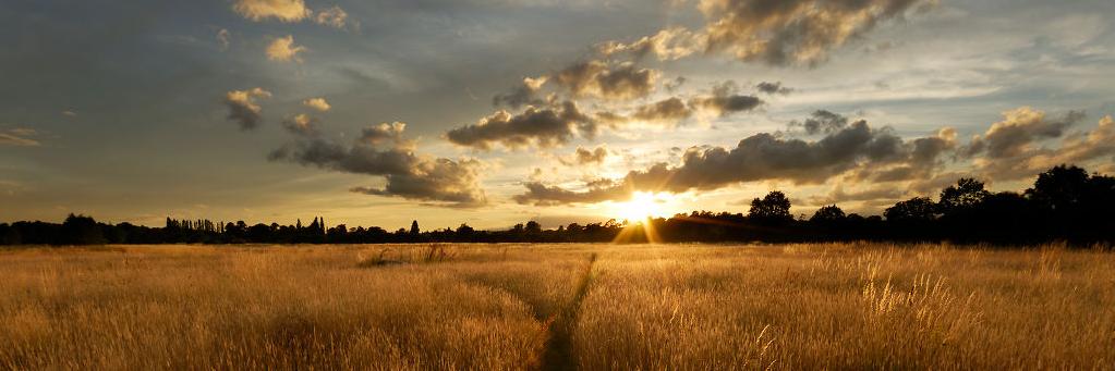 Rebecca Everman banner