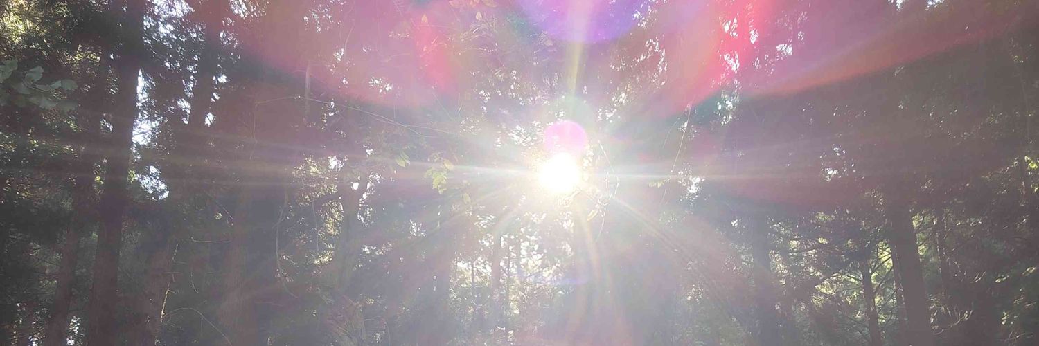 asakav's profile banner image