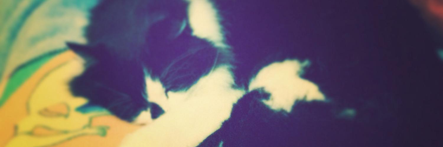 k_jackson03's profile banner image