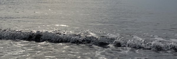 ed_myson Profile Banner