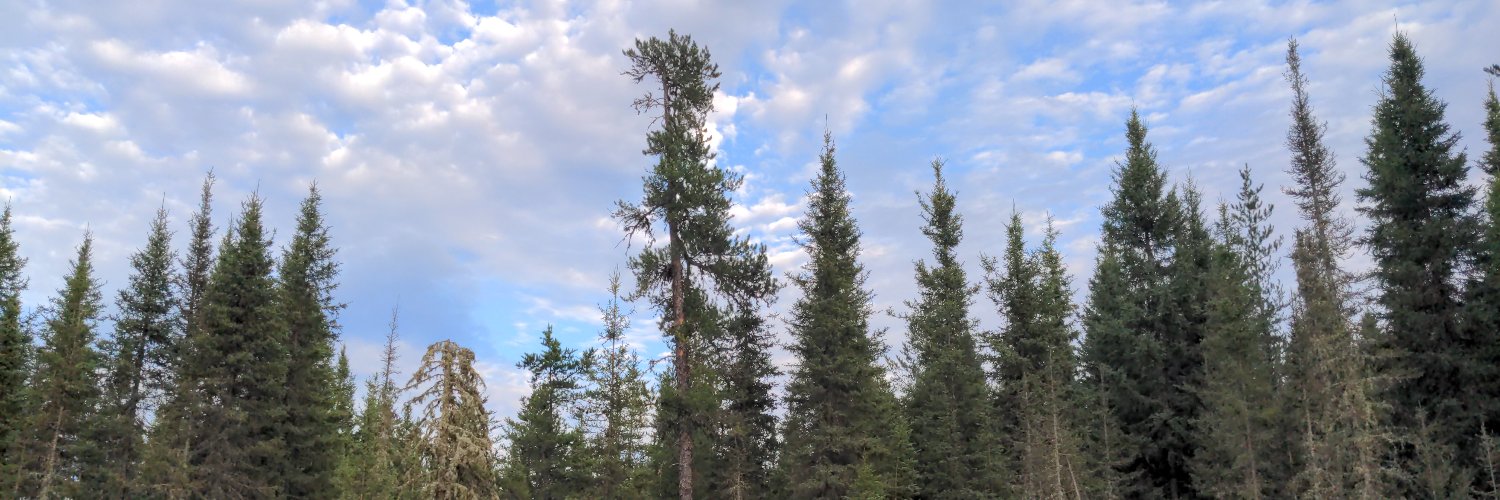 Red Squirrel 🇨🇦 🍎 banner