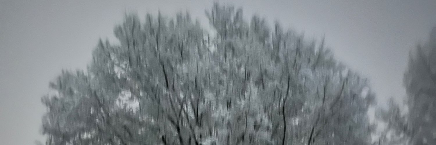 maidenWaves's profile banner image