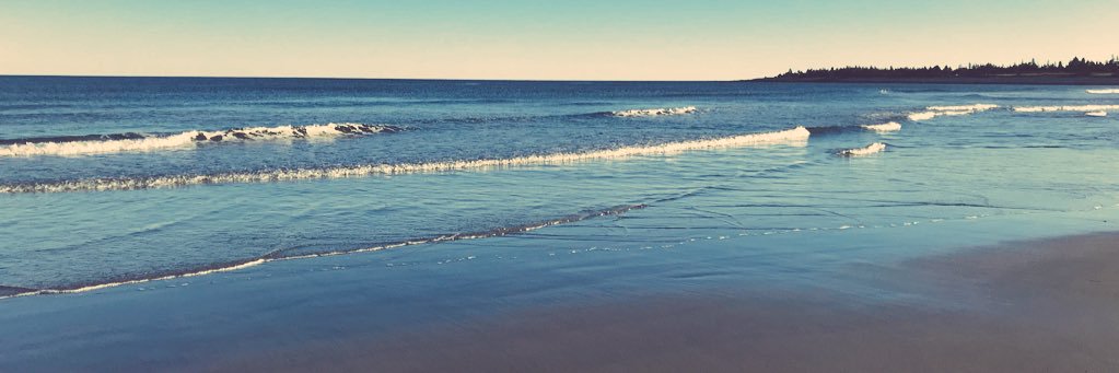 Dr. Emily Wakefield banner