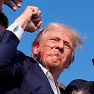 Sys7emsGal 🍊 MAGA banner