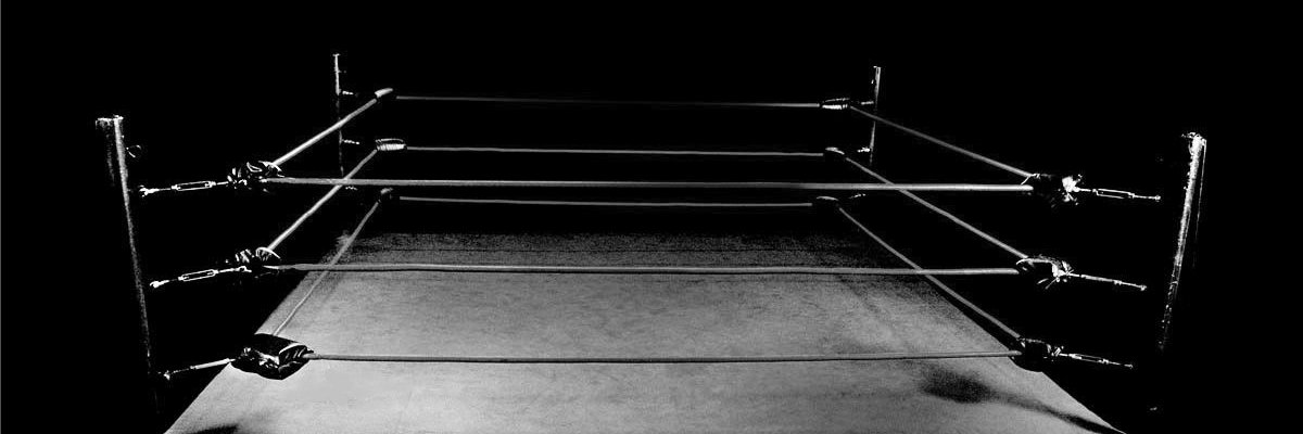 wrandomwrestle's profile banner image
