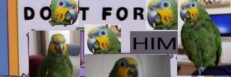 pedrorabal97's profile banner image