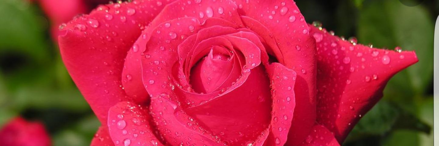 dfyr5645's profile banner image