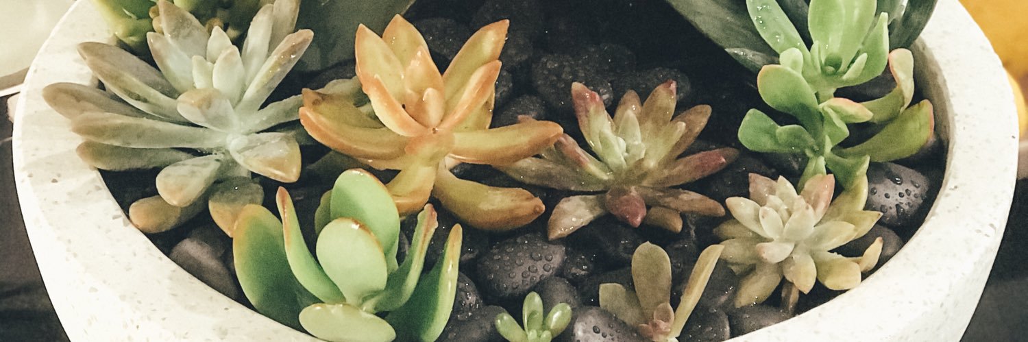 MollieeSterling's profile banner image