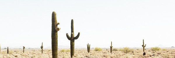LeahByrd9's profile banner image