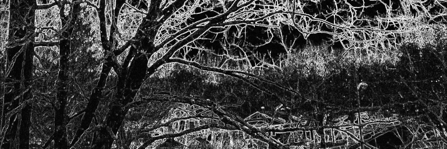 CrookedToad's profile banner image