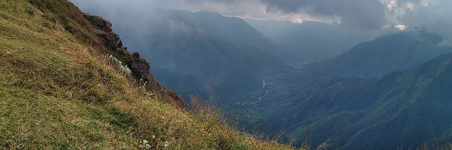 awkward_risk's profile banner image