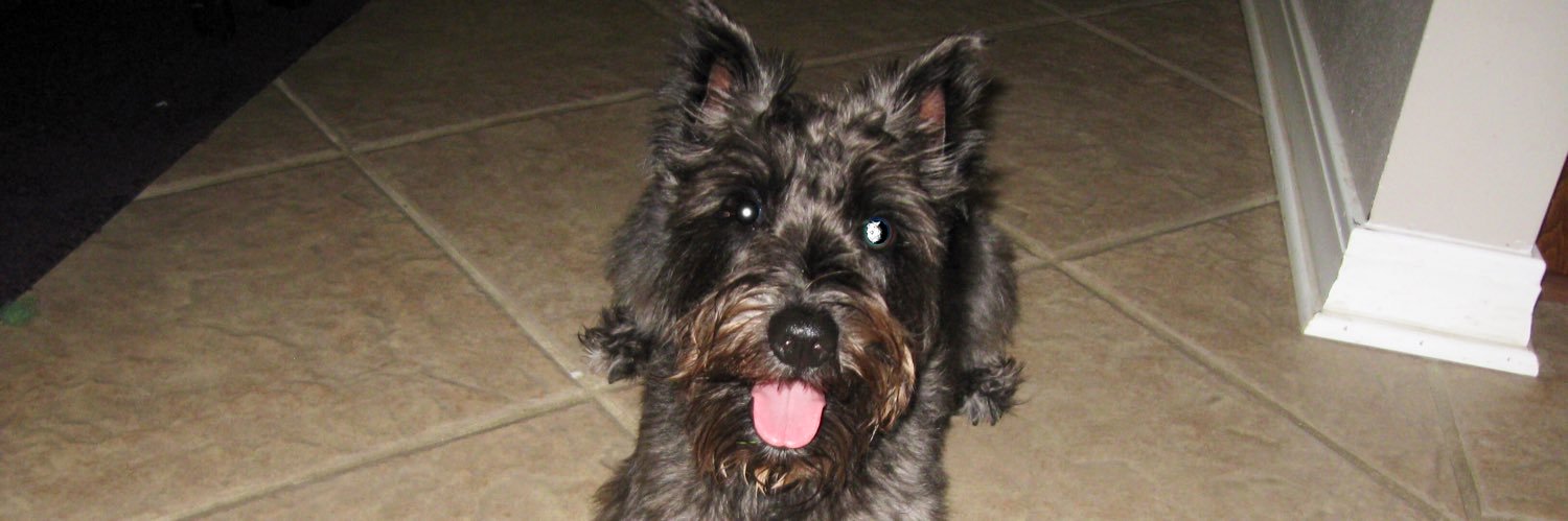 Rose Wall #ORPUW banner