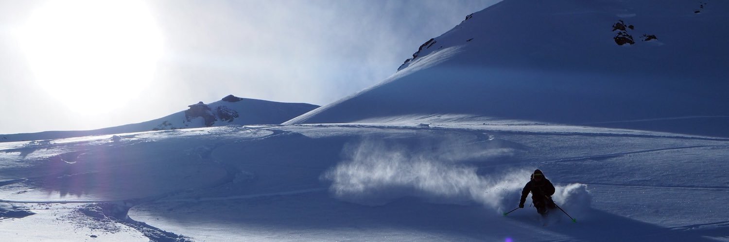Tom Hillebrandt banner
