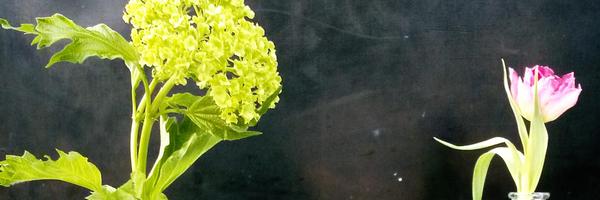 HildeDoting Profile Banner