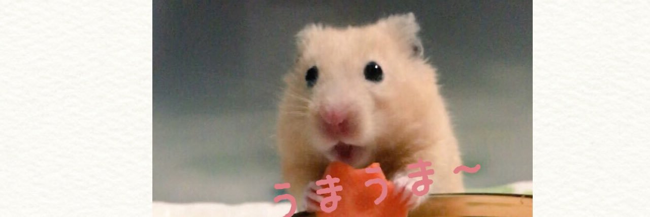 moe_u9's profile banner image