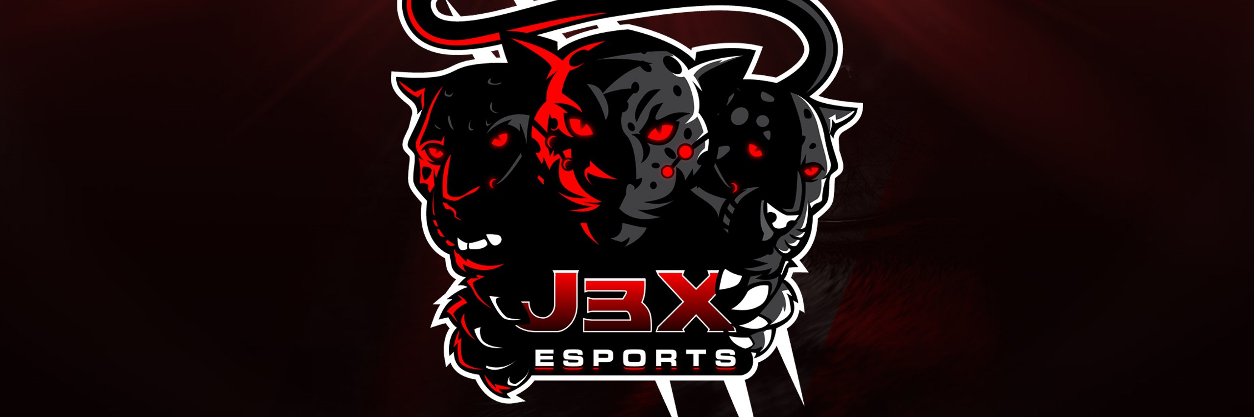 J3XeSports's profile banner image