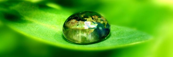 Mark D Bowers banner