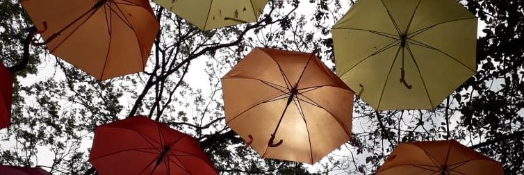 oflexa's profile banner image