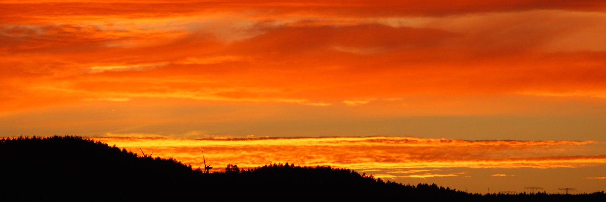 Thomas Zander banner