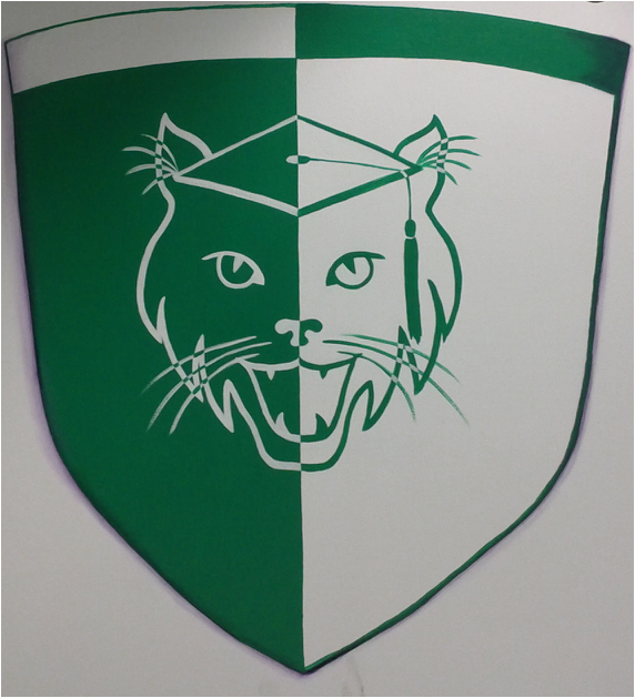 Brookline Elementary banner