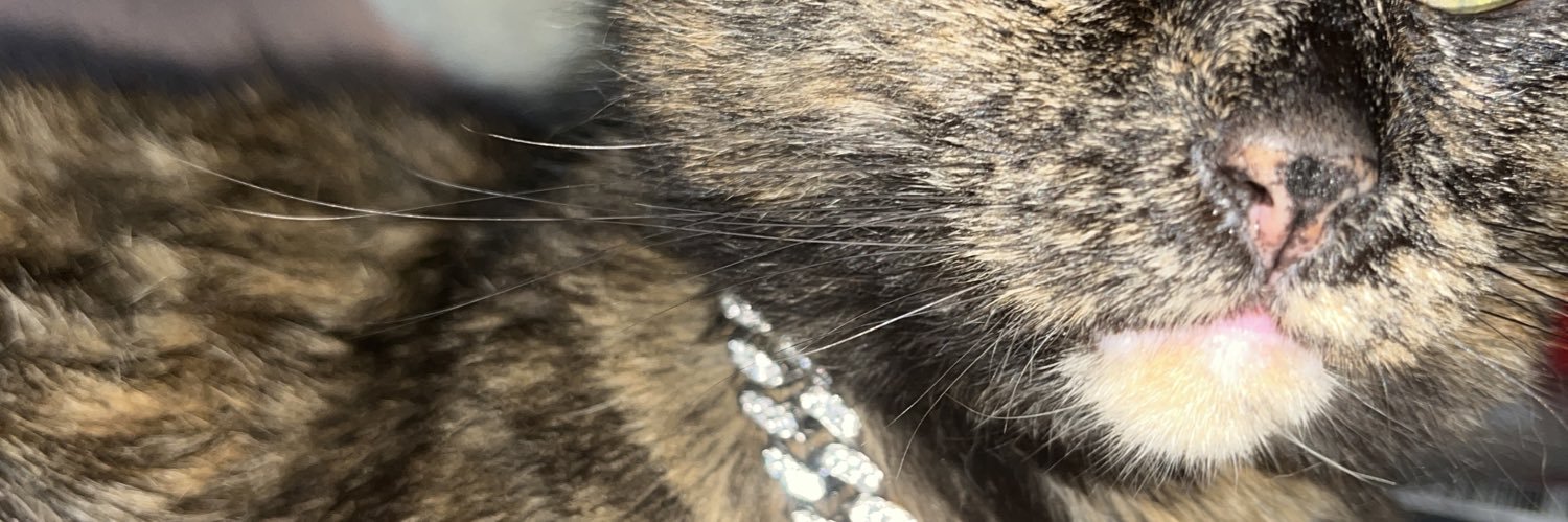 NeilDegrasseT's profile banner image