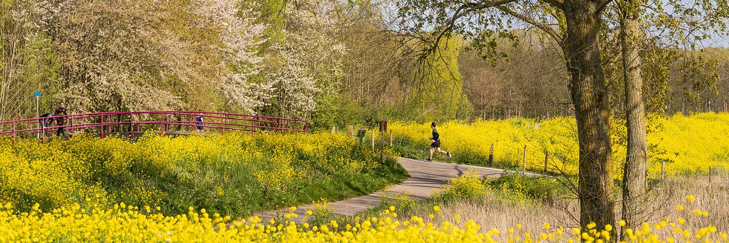 Pijnacker-Nootdorp banner